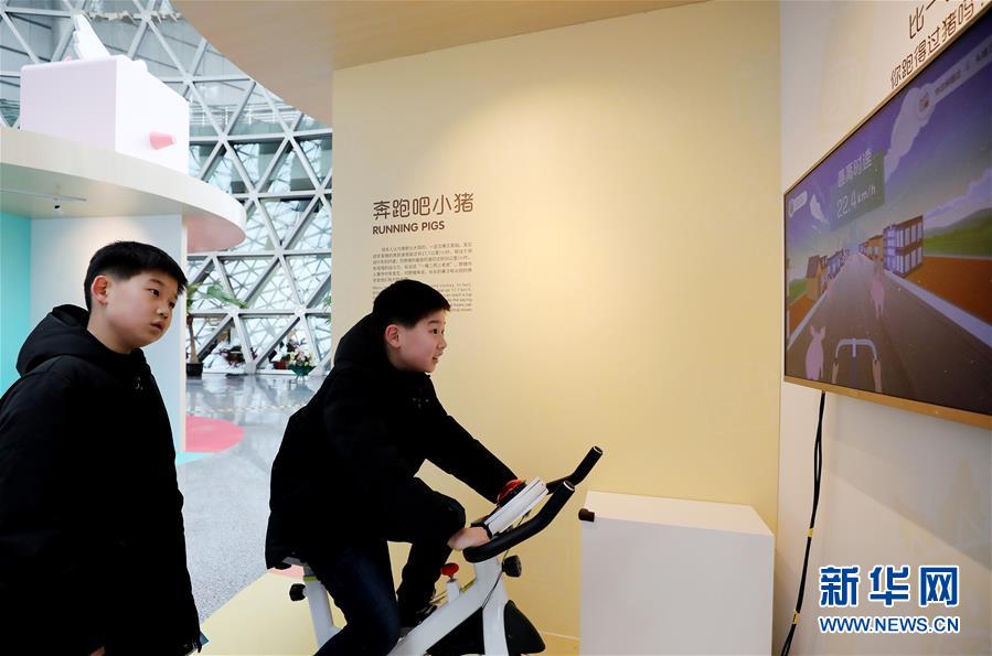 上海科技馆举行猪年生肖特展