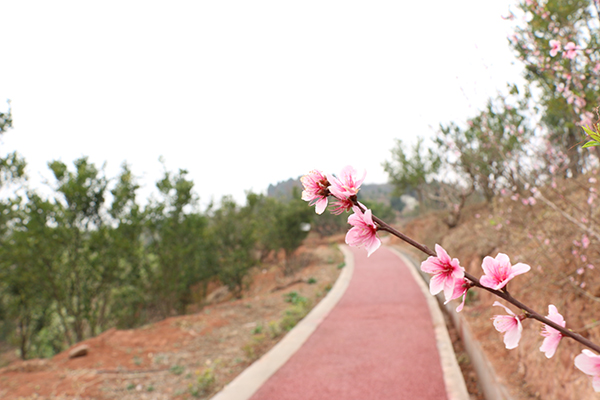 图片默认标题_fororder_赛事赛道（摄影-胡芒）