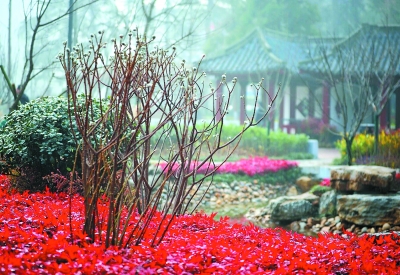 南京景观道路似金线 串起旅游“明珠”链