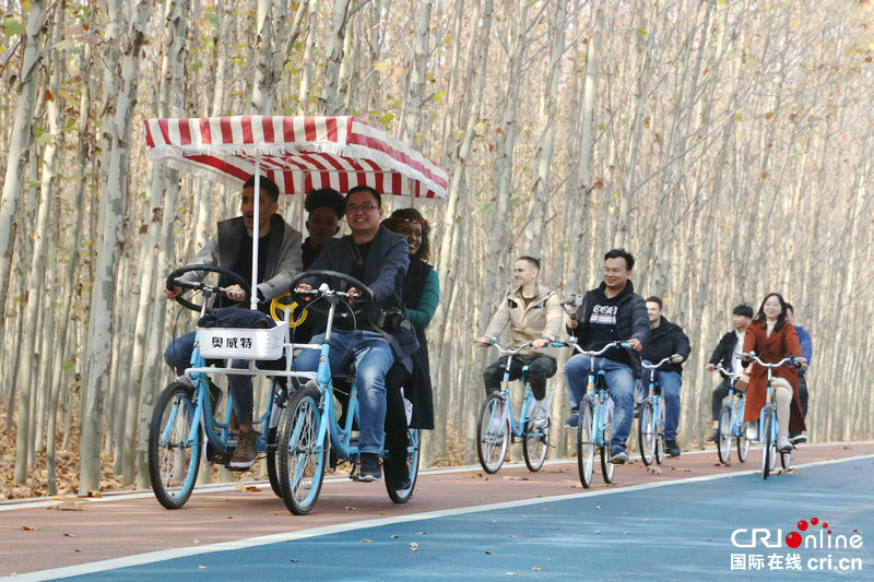 2020外国青年看惠济采风活动在河南郑州举行