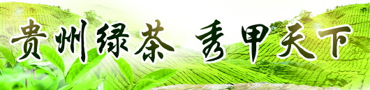 （大头条）十年坚守 贵州茶产业迎来春天