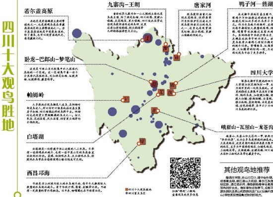 （今日热点3，导航成都，移动端）首份《四川最佳观鸟地指南》发布 来和鸟儿亲密接触