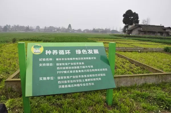 从现代牧场看眉山洪雅农业绿色发展