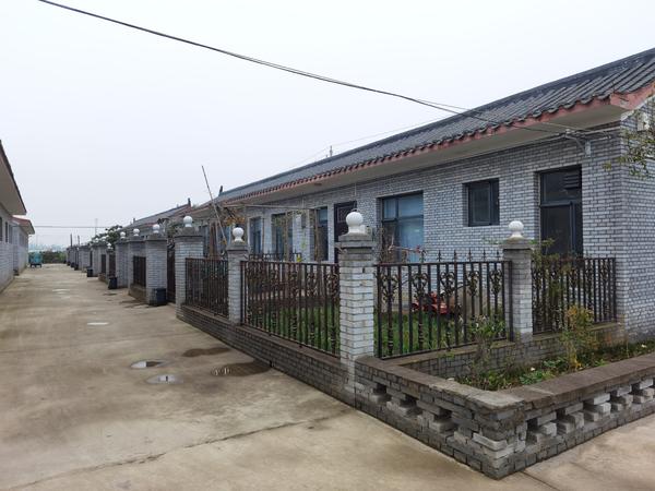 【决胜2020•河南】住在村级保障房的贫困户 是怎样的幸福体验？