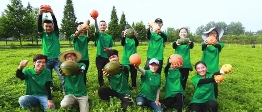 （导航成都）五问新津之二：“农博引领+乡村振兴” 新津如何推进？