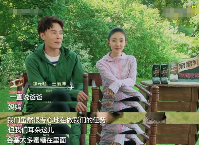 贾静雯修杰楷邓超孙俪 情人节看明星夫妻真人秀虐狗