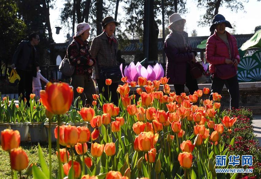 图片默认标题_fororder_1210049728_15486838678801n