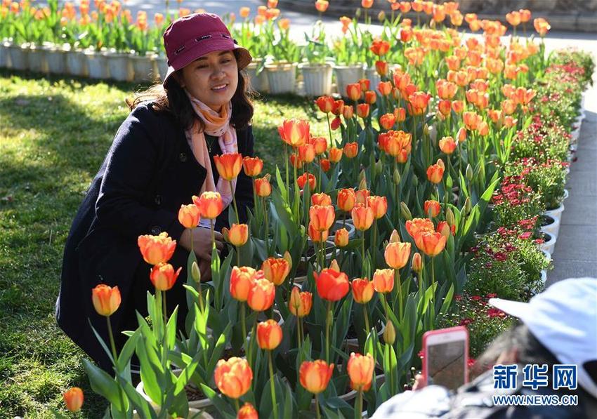 图片默认标题_fororder_1210049728_15486838678491n