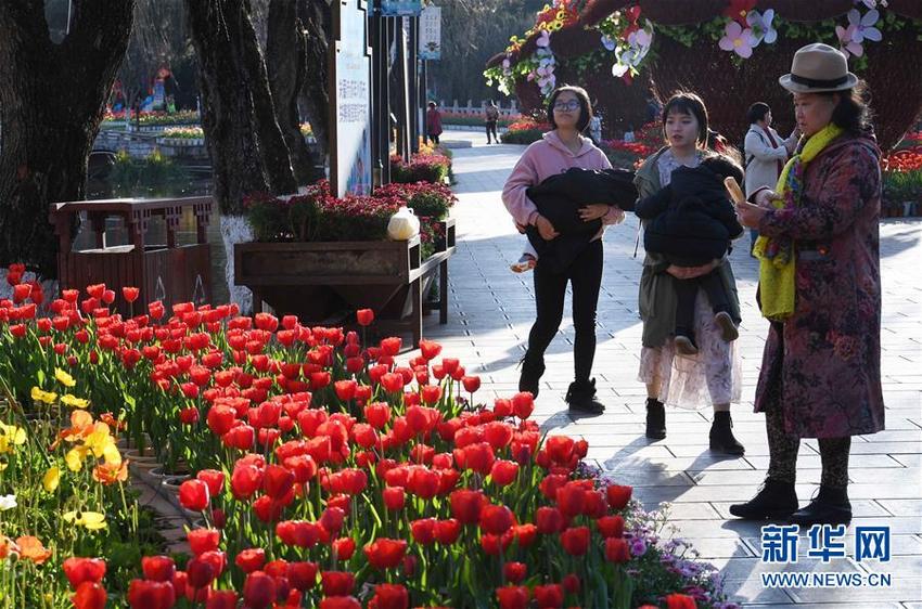 图片默认标题_fororder_1210049728_15486838678171n