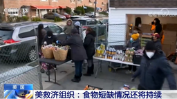 美救济组织：疫情令美多数家庭收入锐减 食物短缺情况还将持续