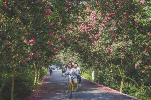 图片默认标题_fororder_5