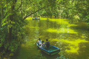 图片默认标题_fororder_2