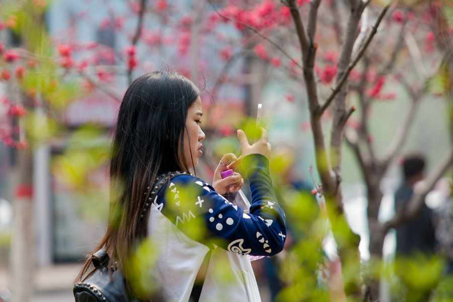 【河南供稿】第五届中国鹤壁樱花文化节开幕 让世界了解“最美樱花大道”