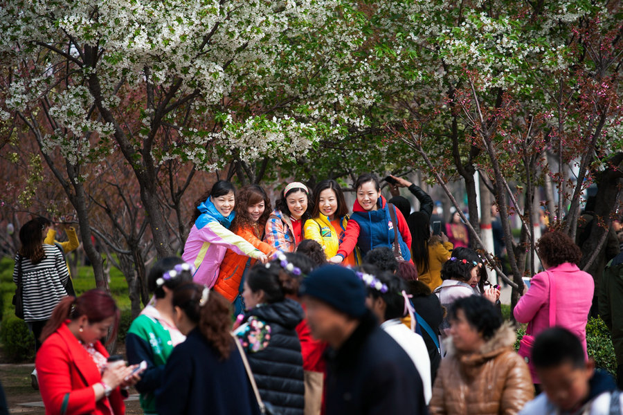 【河南供稿】第五届中国鹤壁樱花文化节开幕 让世界了解“最美樱花大道”