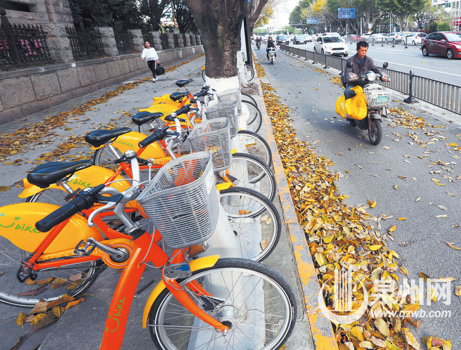 【焦点图】【泉州】【移动版】【Chinanews带图】泉州春天里的秋色