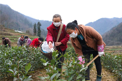 （和寫稿同事已確認(rèn)就是那個說法  加急 備注第一段李克強(qiáng)的話原文鏈接）【戰(zhàn)“疫”·行動】戰(zhàn)“疫”不忘脫貧夢 三秦春耕正當(dāng)時(shí)