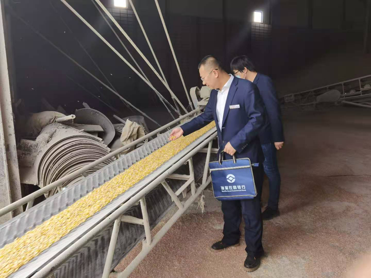 孙吴农商银行深入推进“走千企、进万家”主题活动