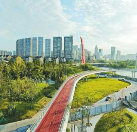 从府南河综合整治到锦江水生态治理和绿道建设 “濯锦之江”归来