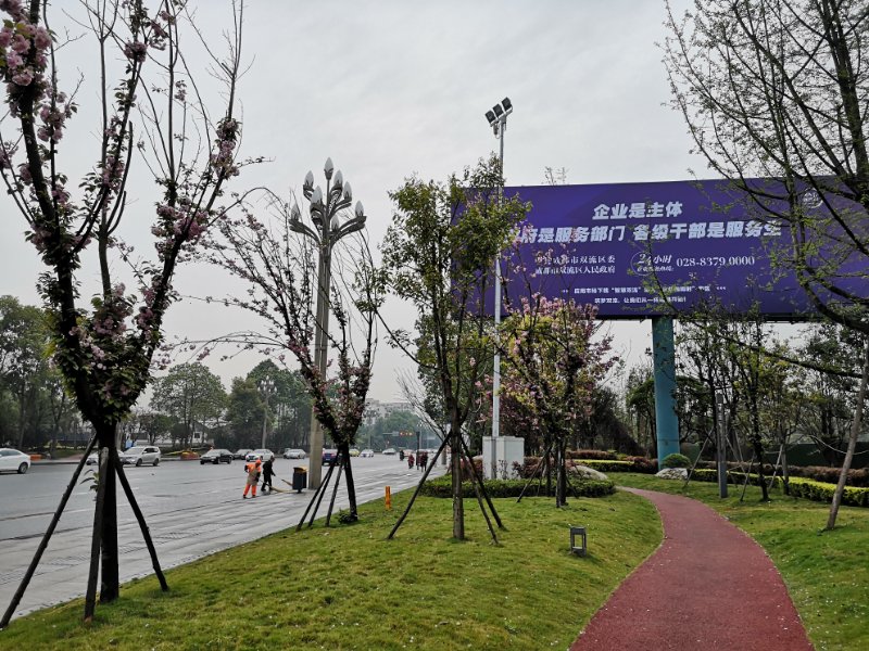 （导航成都）成都双流区：公益广告营造亲商舆论氛围