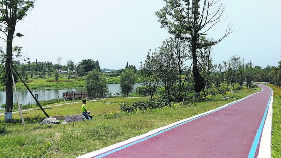 （焦点图，导航成都，移动端）“打卡”天府绿道 过个别样春节