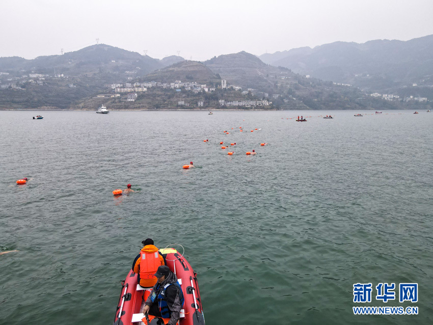 湖北巴东：冬泳健儿逐浪长江三峡