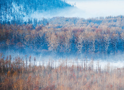 内蒙古大兴安岭林区20年新增林地近140万公顷