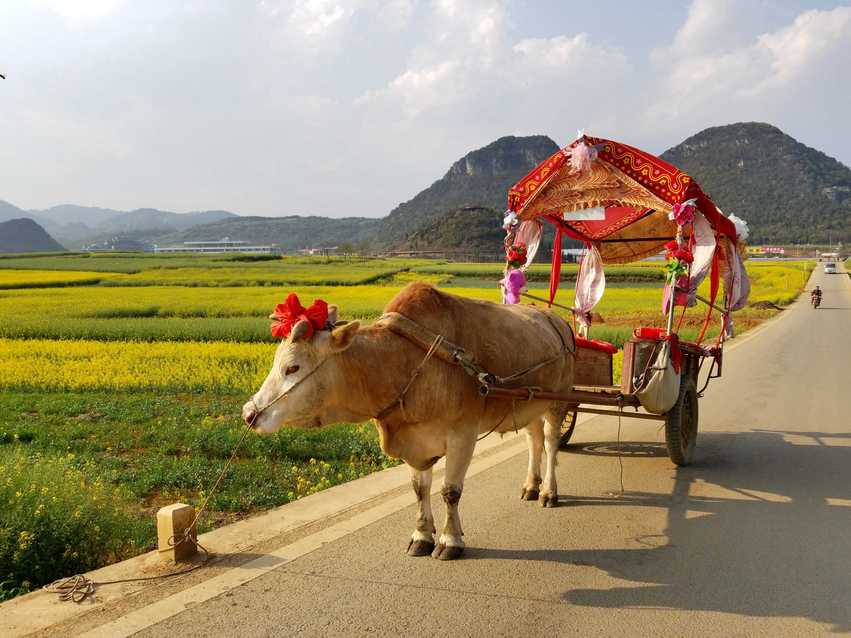 图片默认标题_fororder_C360_2018-03-12-16-58-35-720_comps