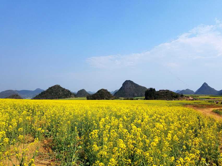 图片默认标题_fororder_C360_2018-03-12-16-09-46-876_comps