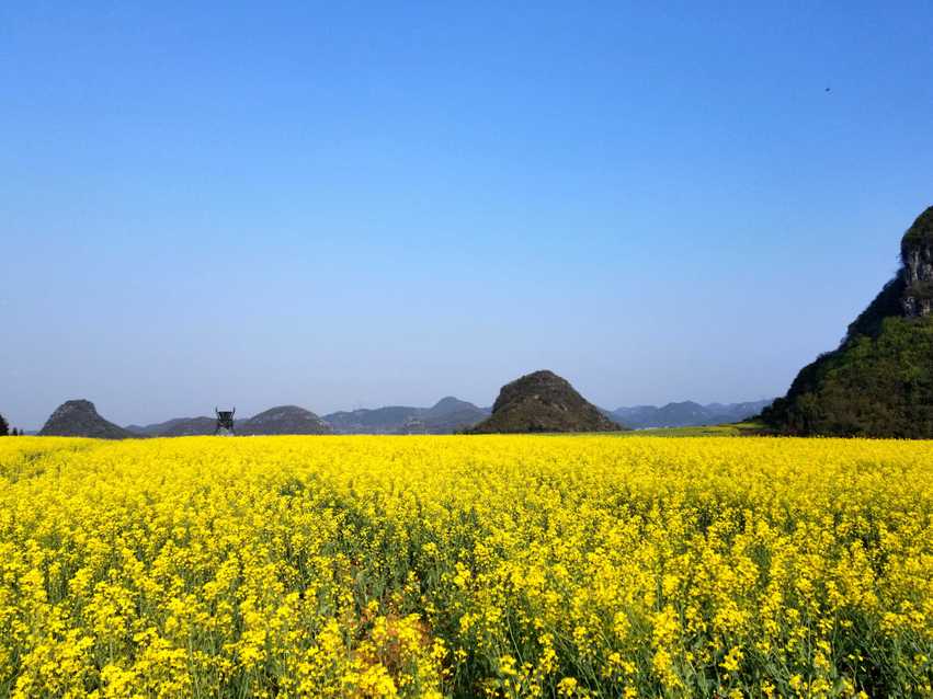 图片默认标题_fororder_C360_2018-03-12-17-16-39-452