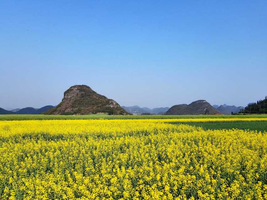 图片默认标题_fororder_C360_2018-03-12-16-56-38-750