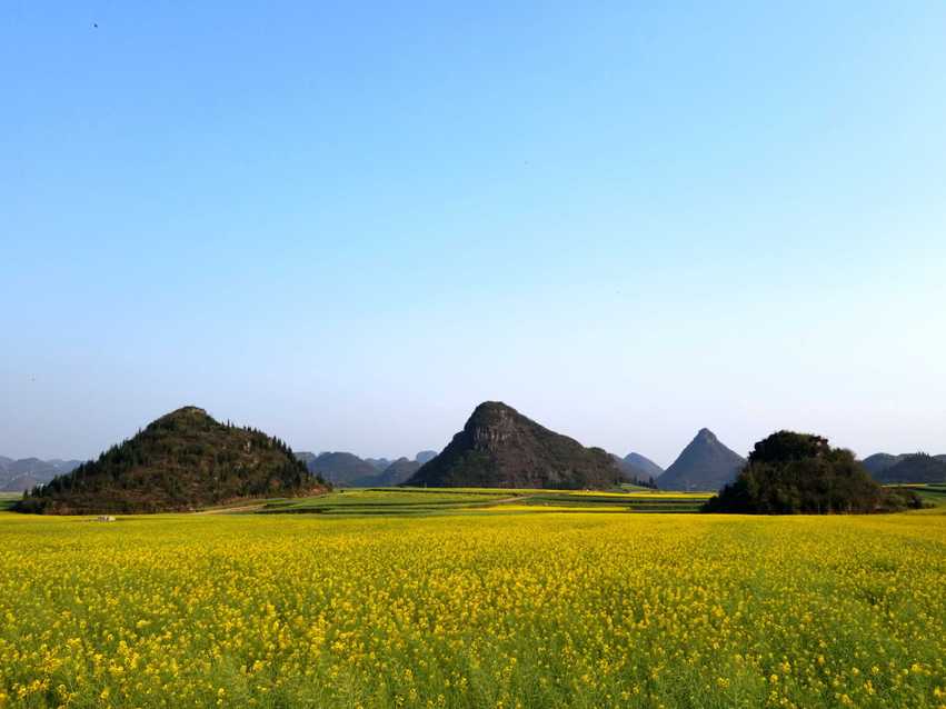 图片默认标题_fororder_C360_2018-03-12-17-38-34-891_comps