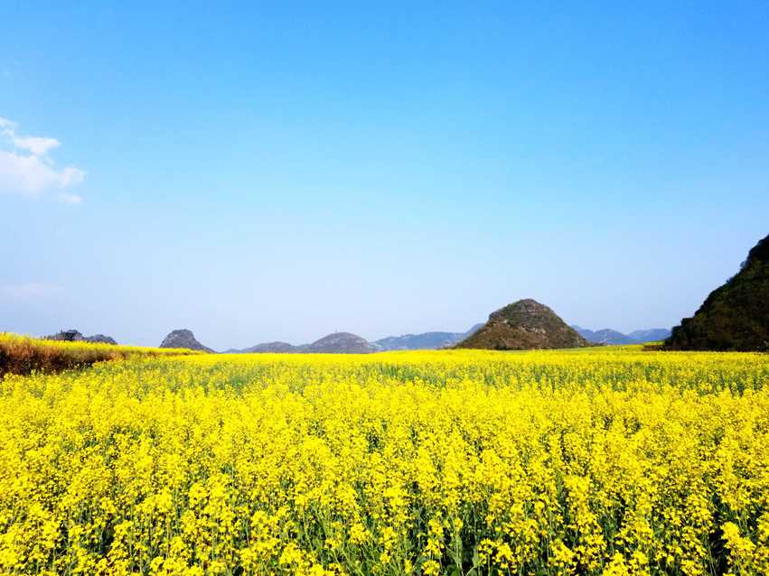 图片默认标题_fororder_C360_2018-03-12-17-19-26-847_comps