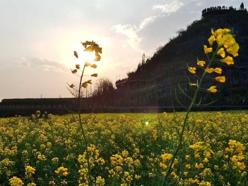 图片默认标题_fororder_C360_2018-03-12-18-29-53-549