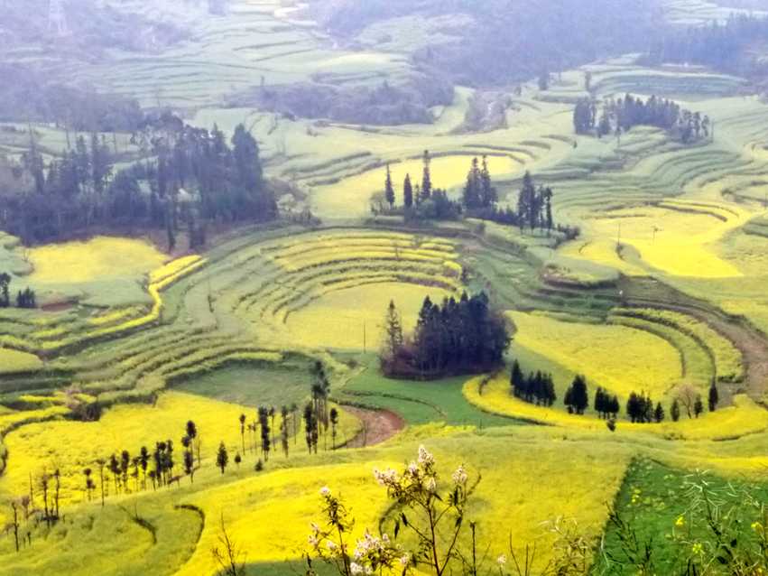 图片默认标题_fororder_C360_2018-03-13-09-56-43-126