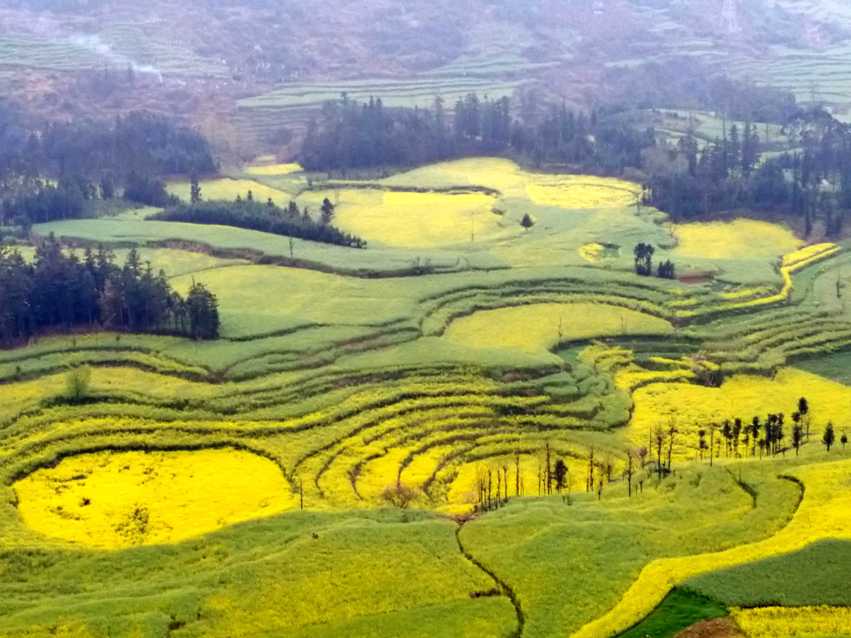 图片默认标题_fororder_C360_2018-03-13-09-58-24-475