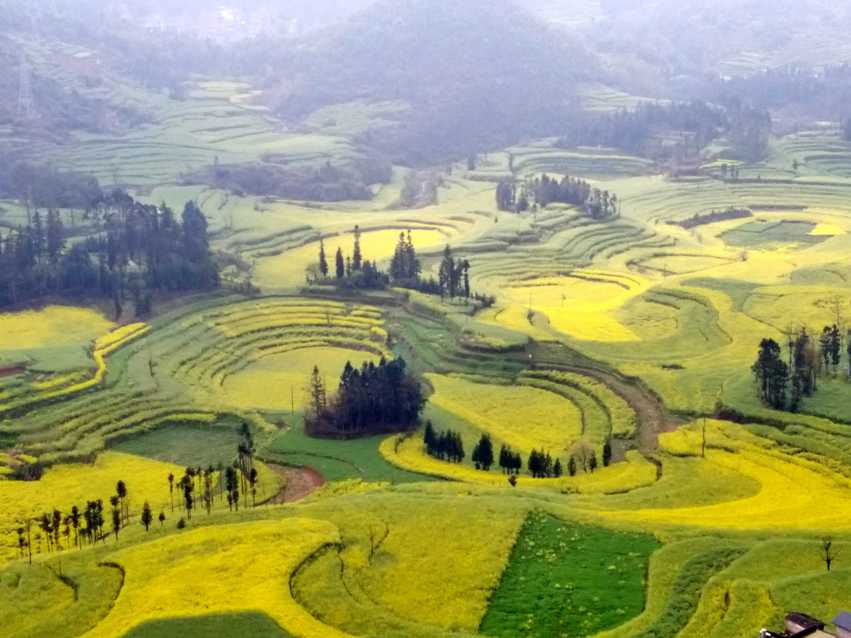 图片默认标题_fororder_C360_2018-03-13-09-58-43-854_comps