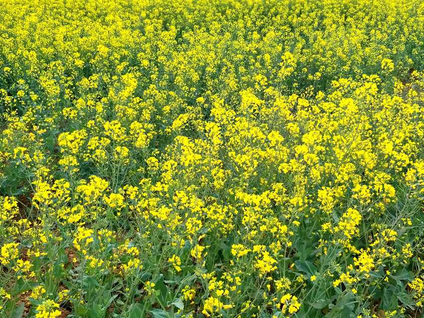 图片默认标题_fororder_C360_2018-03-12-18-31-49-313