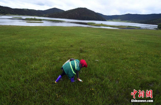 พนักงานทำความสะอาดตกแต่งบ้านของตนเอง