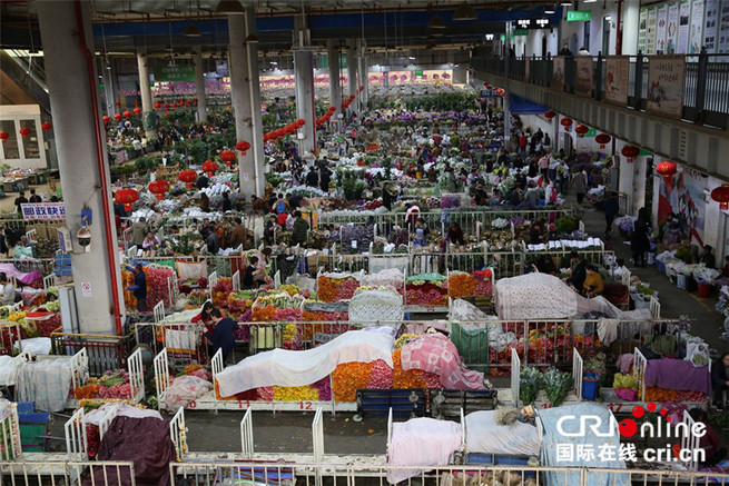 图片默认标题_fororder_H3