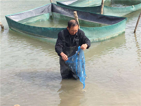 陕西黄龙石堡镇：农业经济奏响黄土地春之舞曲