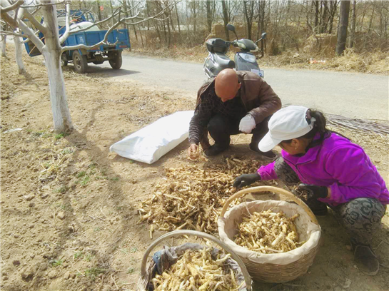 陕西黄龙石堡镇：农业经济奏响黄土地春之舞曲