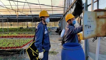 图片默认标题