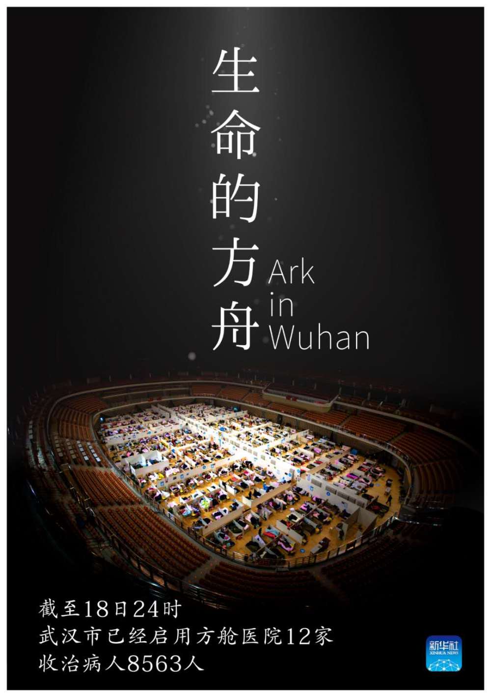 #新华社#全民阻击 | 托举生命的方舟
