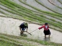 一村一寨总关情丨广西大寨村：旅游致富 绿水青山就是金山银山