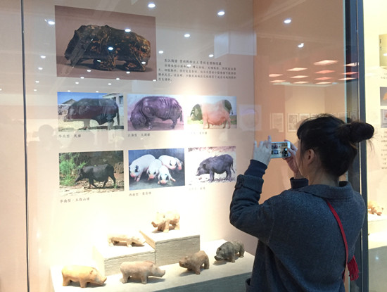 Chongqing China Three Gorges Museum held 'Golden Pig Celebrating New Year' Exhibition for Chongqing citizens