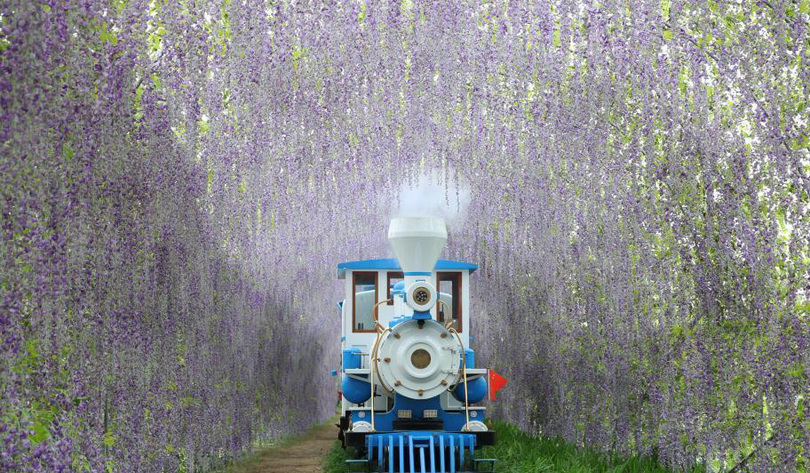 图片默认标题_fororder_ziteng1