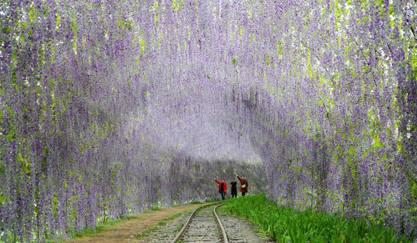 图片默认标题_fororder_ziteng2