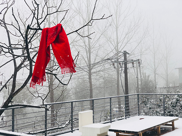 图片默认标题_fororder_红色围巾与雪的相遇（成都龙泉驿区网信办-供图）