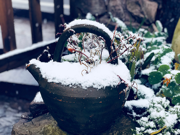 成都下雪啦 龙泉驿区银装素裹 南方的雪景也很美