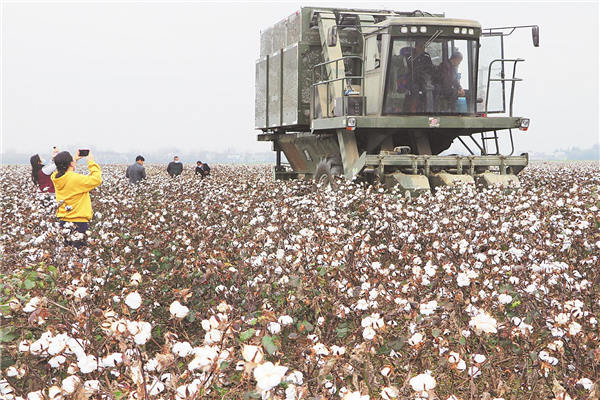 科技助湖北省棉花产业重现生机